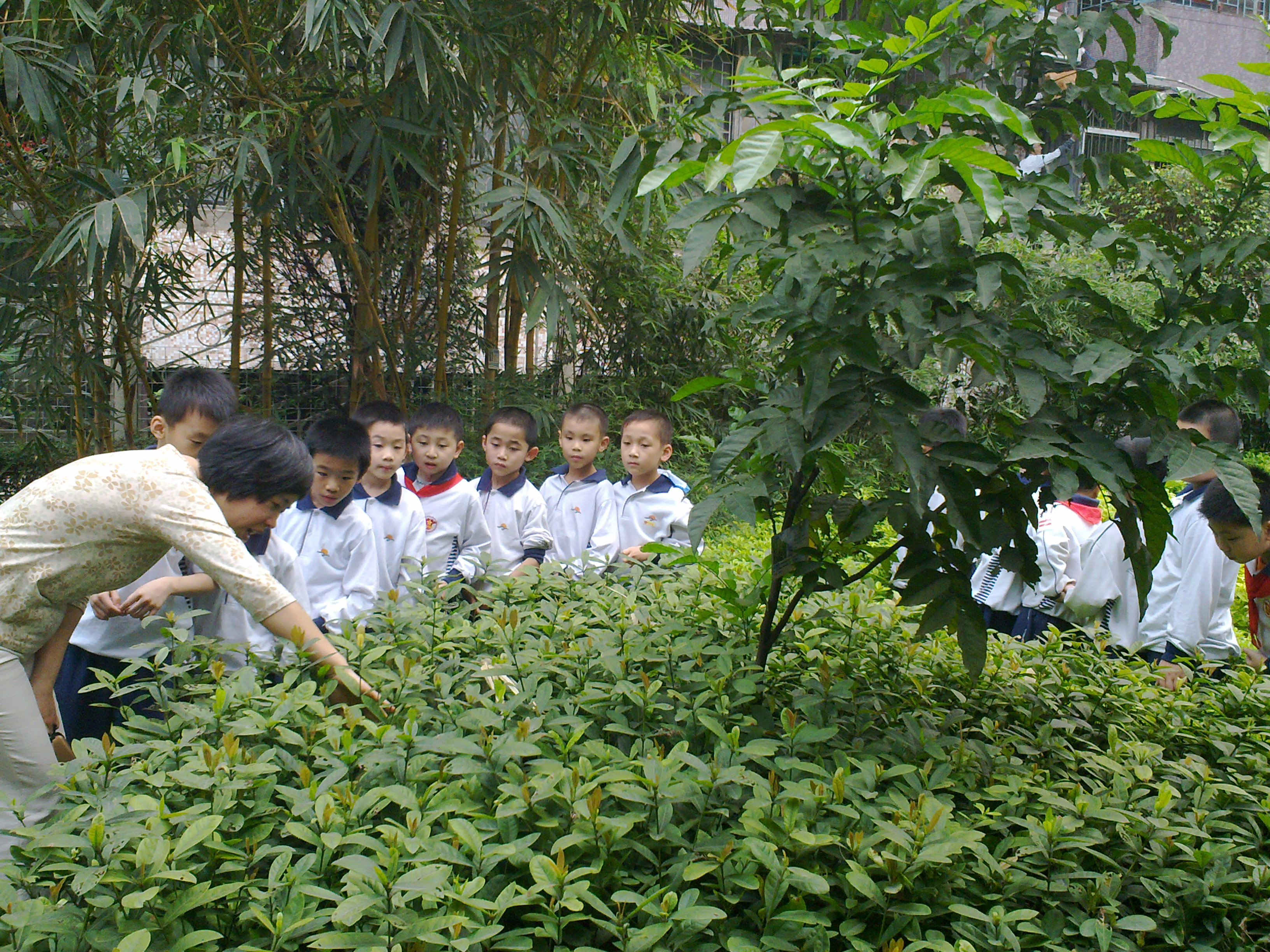 School children in a garden with their teacher